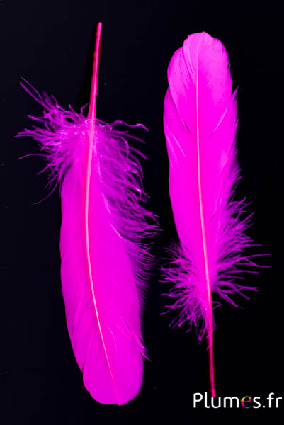 Oie - 15-21 cm, gauche et droite - fuchsia